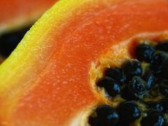 Fotovitamine - Papaya...