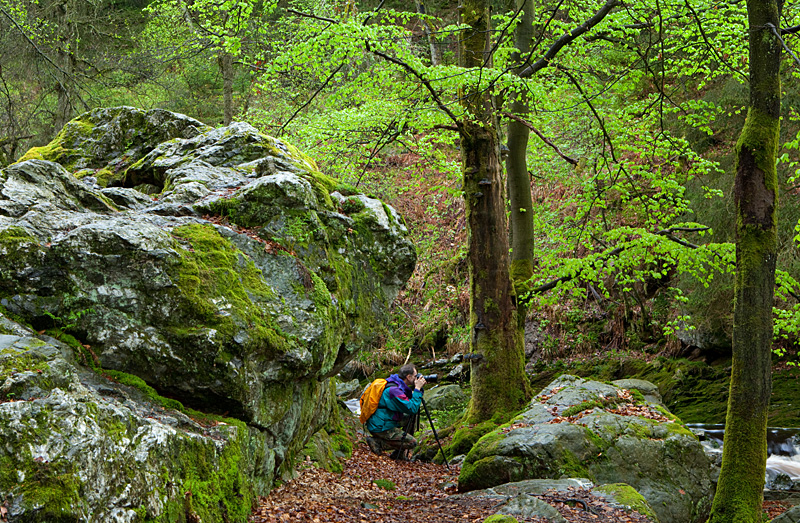 Fotowalk Ardennen - Naturfotografie - Fototour wildromantische Täler und Schluchten