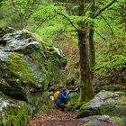 Fotowalk Ardennen - Naturfotografie - Fototour wildromantische Täler und Schluchten