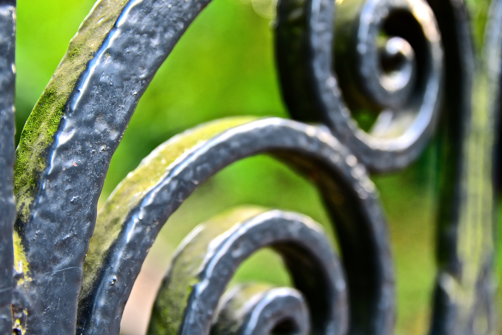 Fotowalk im Bürgerpark Bremen 