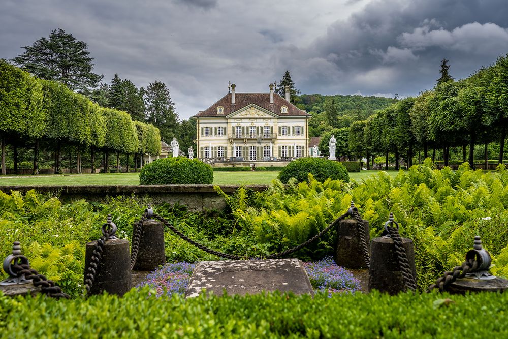 Fotowalk im Wenkenpark 