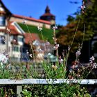 Fotowalk in Esslingen