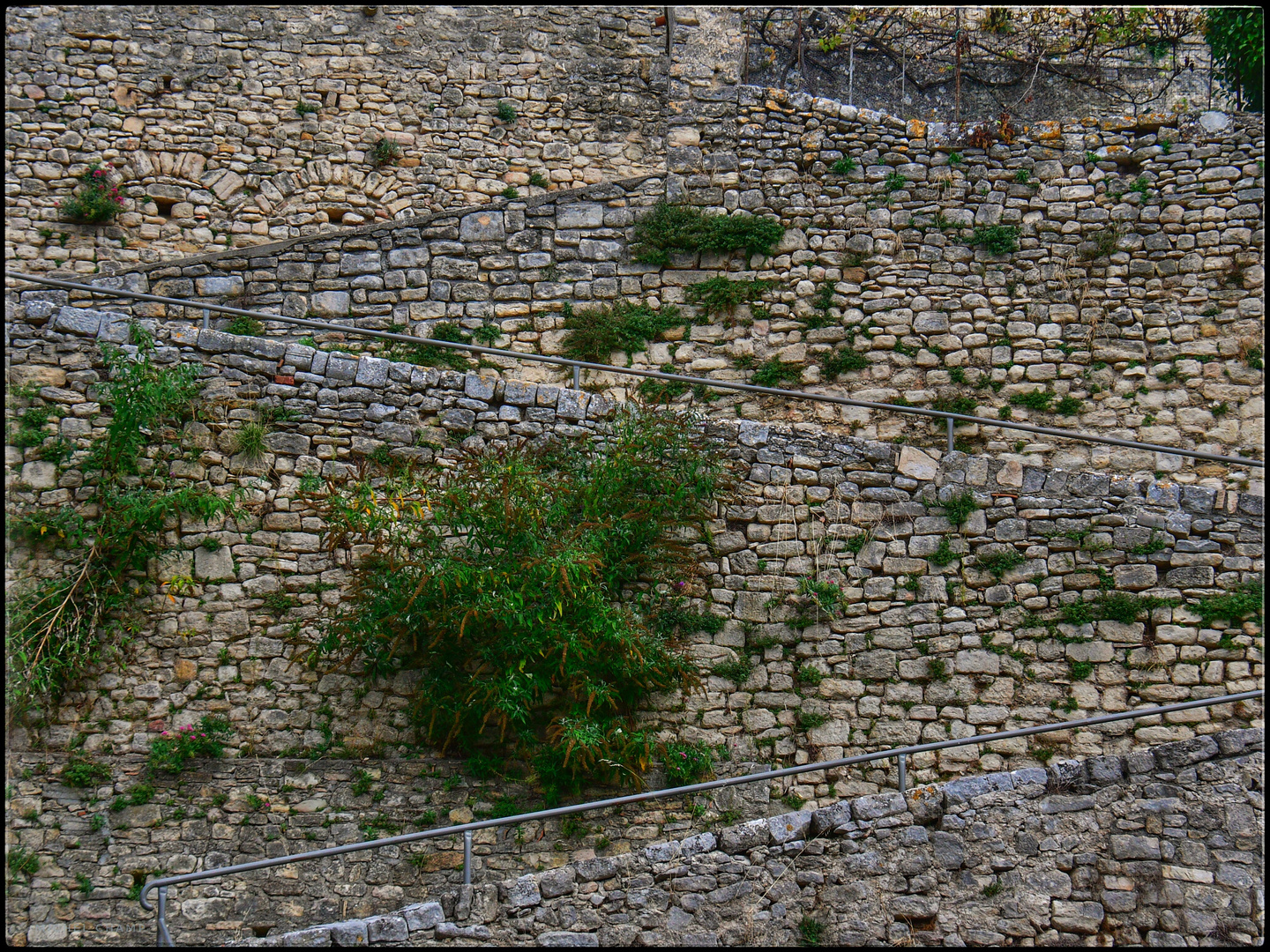 "Fotowalk" in Forcalquier