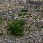 "Fotowalk" in Forcalquier