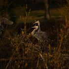 Fotowalk_Wasserpark_Wien_D7100_Sigma170_500mm