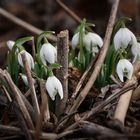 Fotowettbewerb Februar. Kontrast: altes und neues