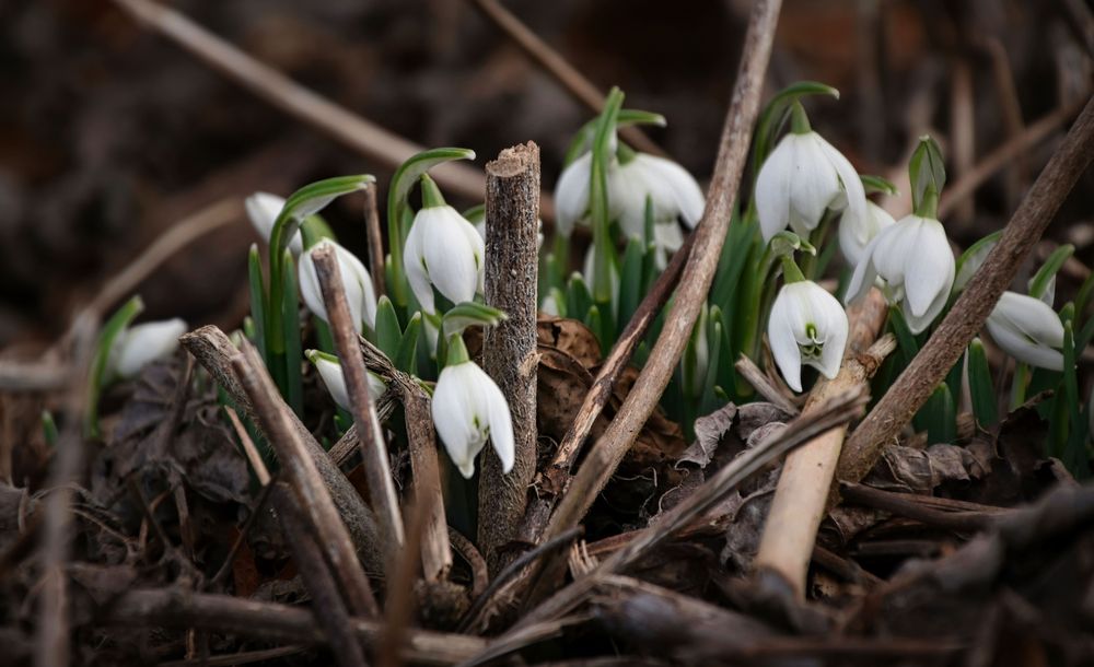 Fotowettbewerb Februar. Kontrast: altes und neues