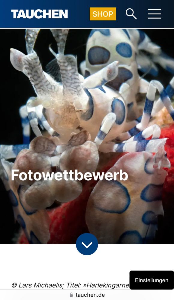 Fotowettbewerb Tauchen online