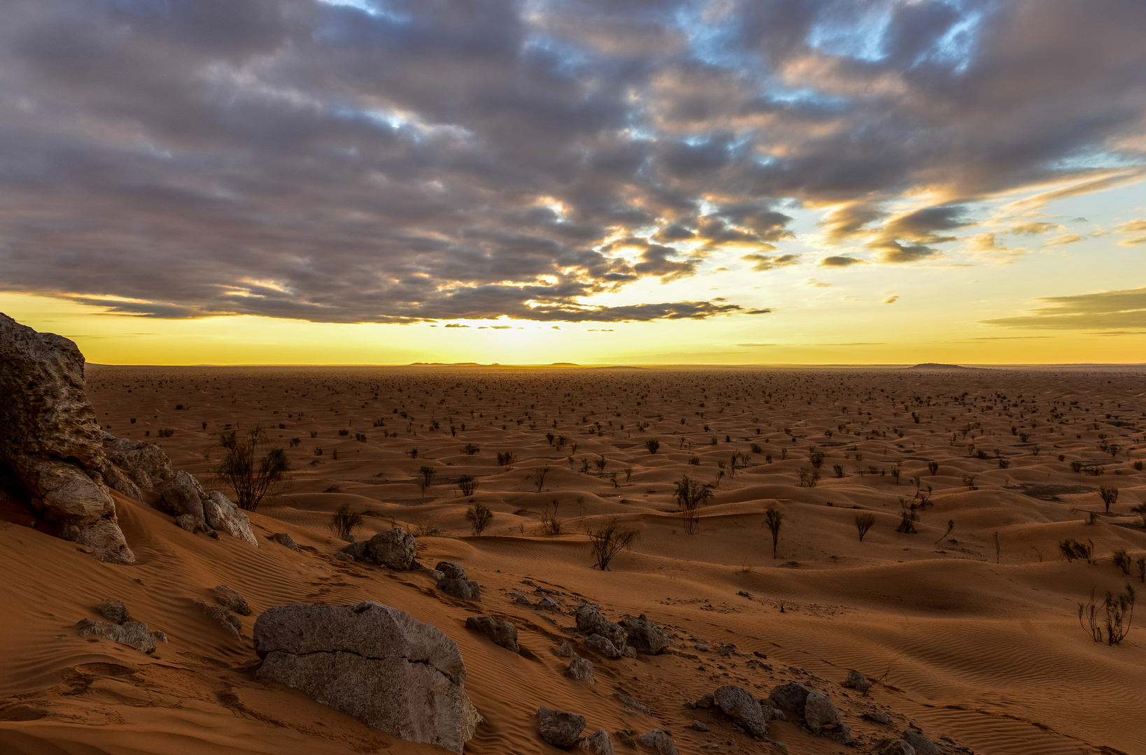 Fotowettbewerb Wüste - Sandmeer