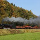 Fotowiese hinter Wernshausen mit Jumbo