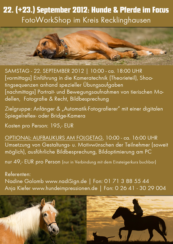 Fotoworkshop Hunde & Pferde im Focus