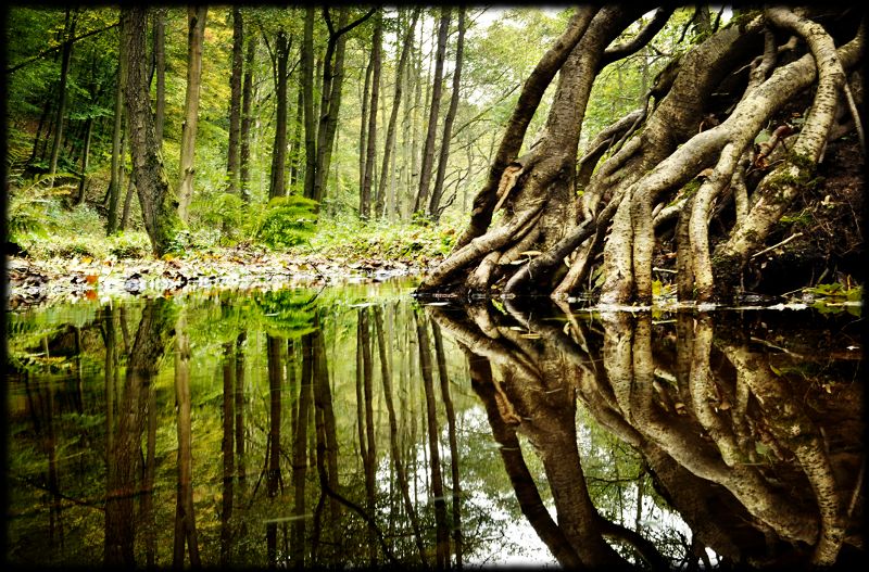 Fotoworkshop: Magie der Landschaft