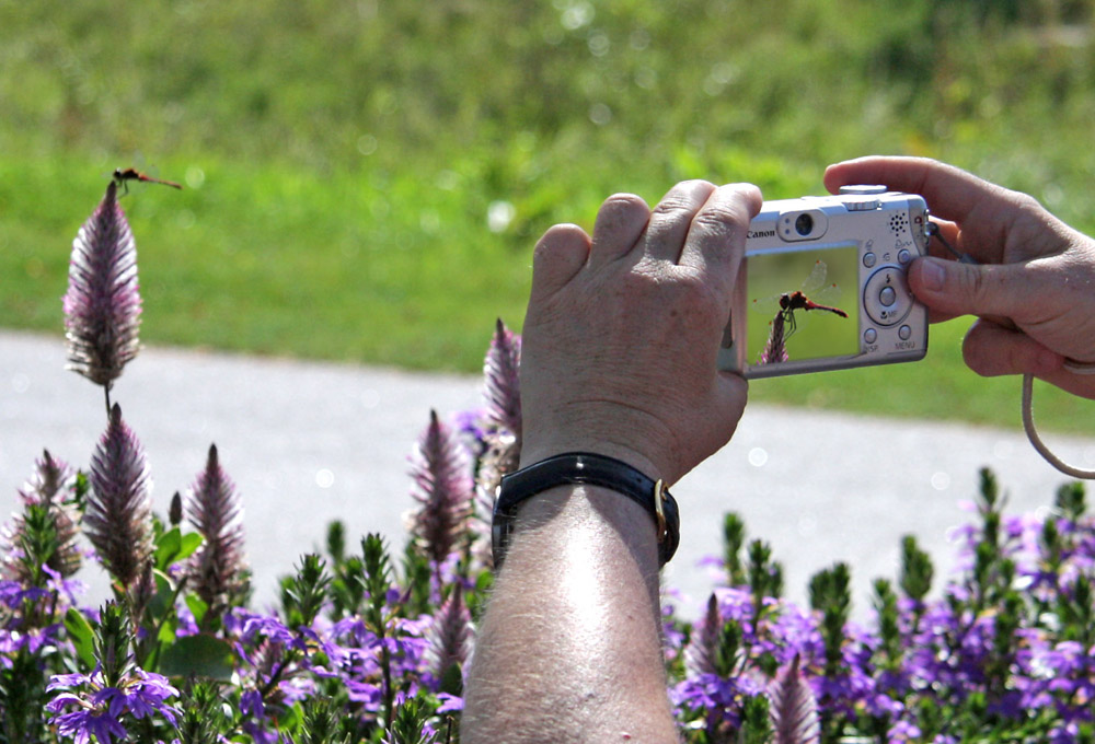 Fotoworkshop mit der einfachen Kompaktkkamera