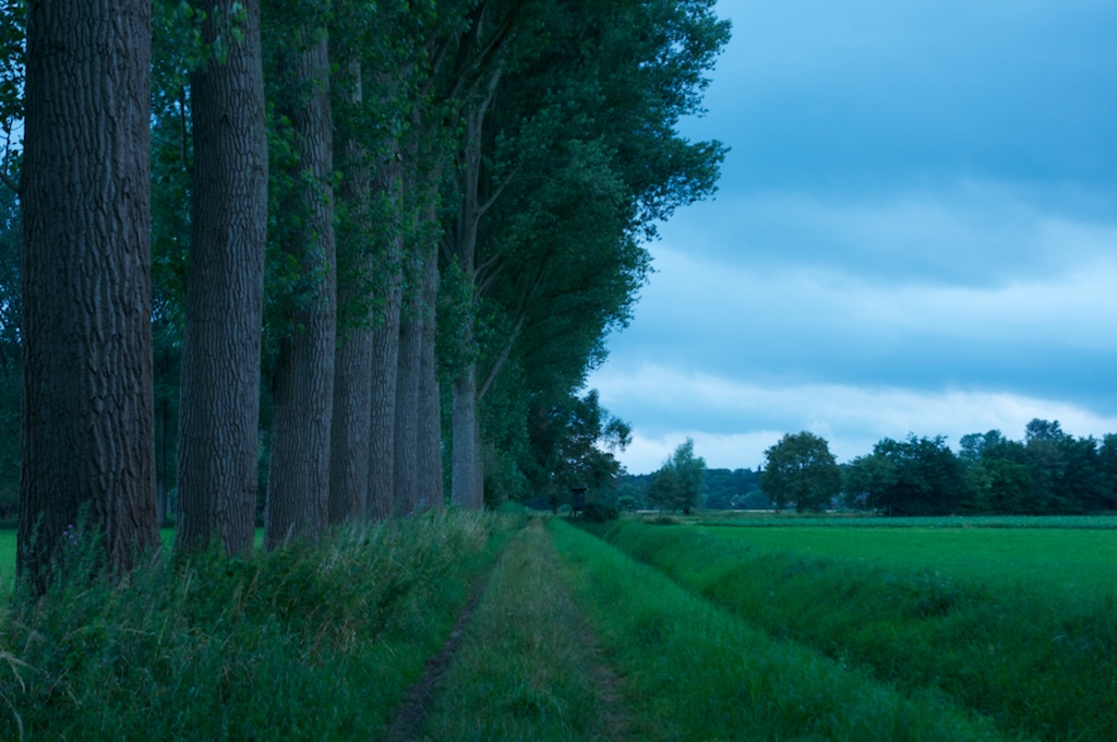 Fotoworkshop - Naturpark Schwalm Nette - Wasserblicke und Wasserwelten