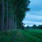 Fotoworkshop - Naturpark Schwalm Nette - Wasserblicke und Wasserwelten