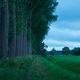 Fotoworkshop - Naturpark Schwalm Nette - Wasserblicke und Wasserwelten