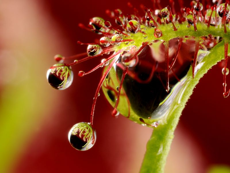 Fotoworkshop: Naturwunder der Rhön