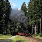 Fotozug Fichtelbergbahn 02