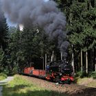 Fotozug Fichtelbergbahn 04