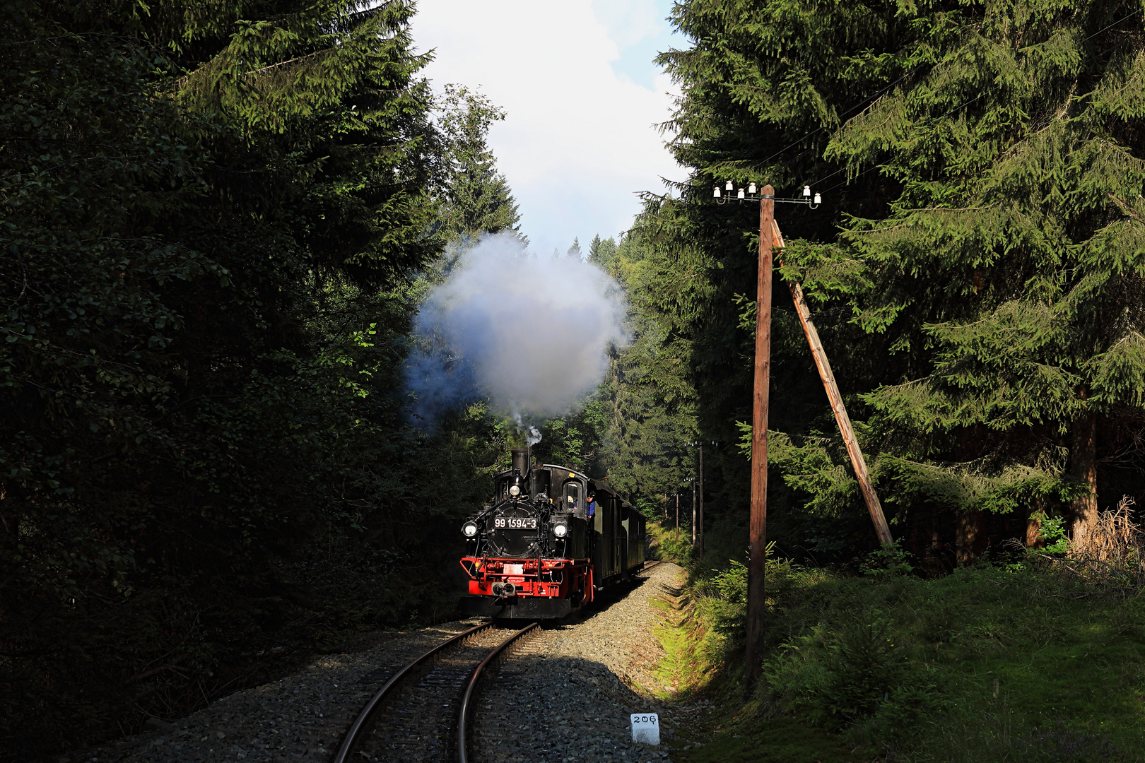 Fotozug Preßnitztalbahn 03