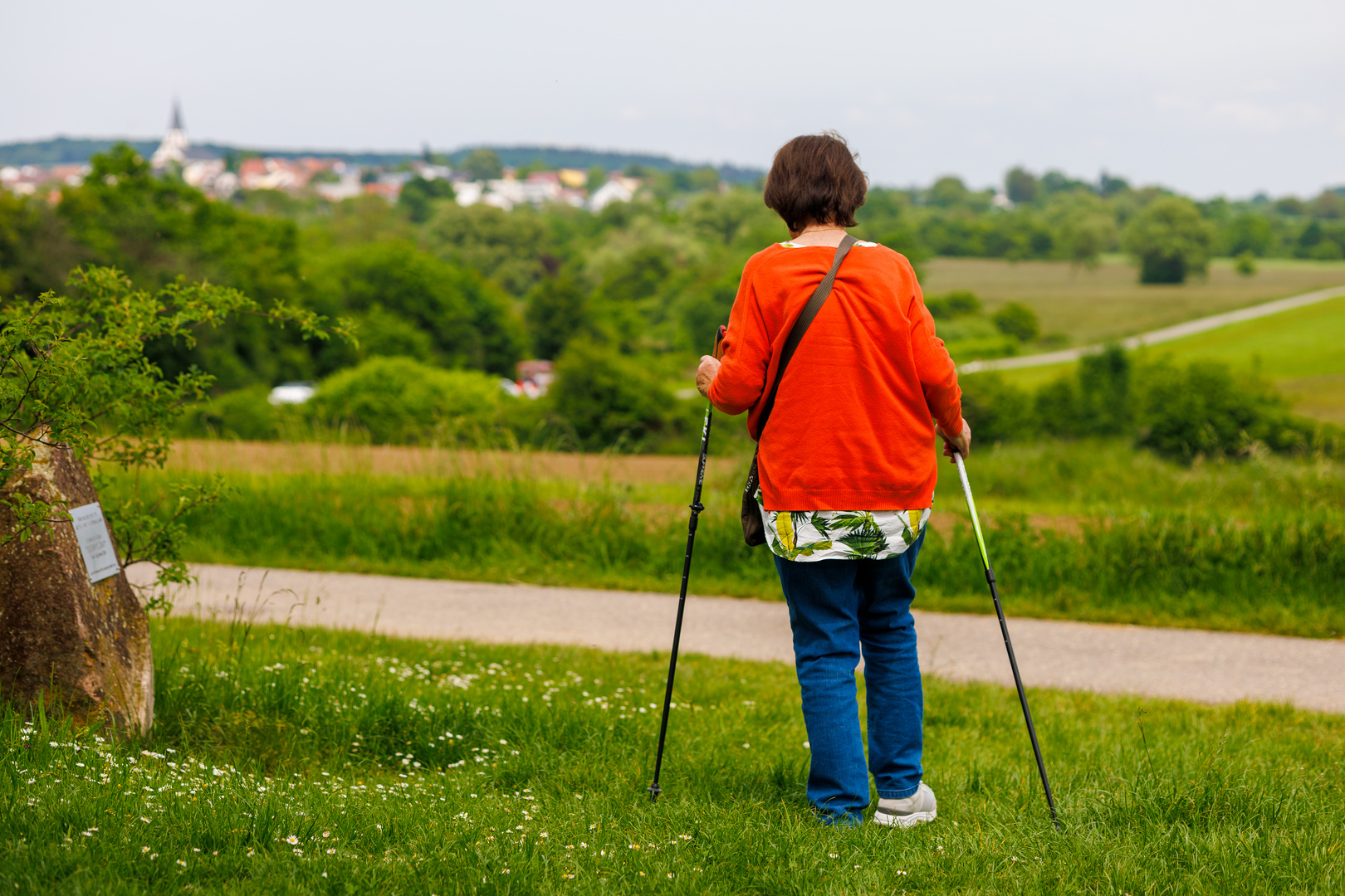 Fotsetzung der Reblaus-Besen-Wanderung