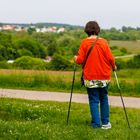 Fotsetzung der Reblaus-Besen-Wanderung