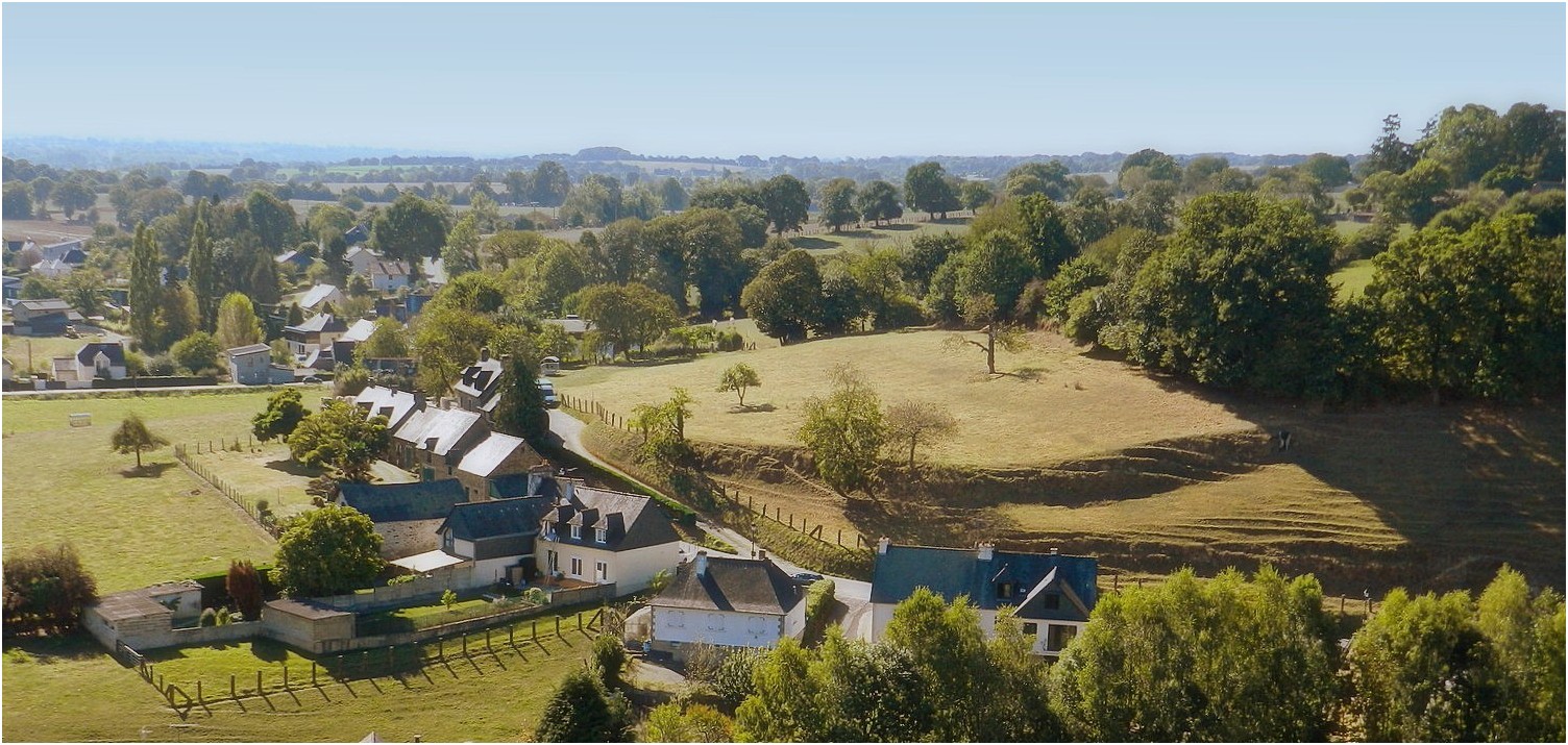 fougères