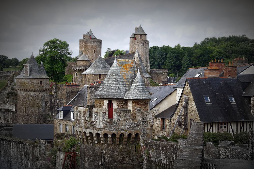 ~ Fougères ~