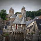 ~ Fougères ~