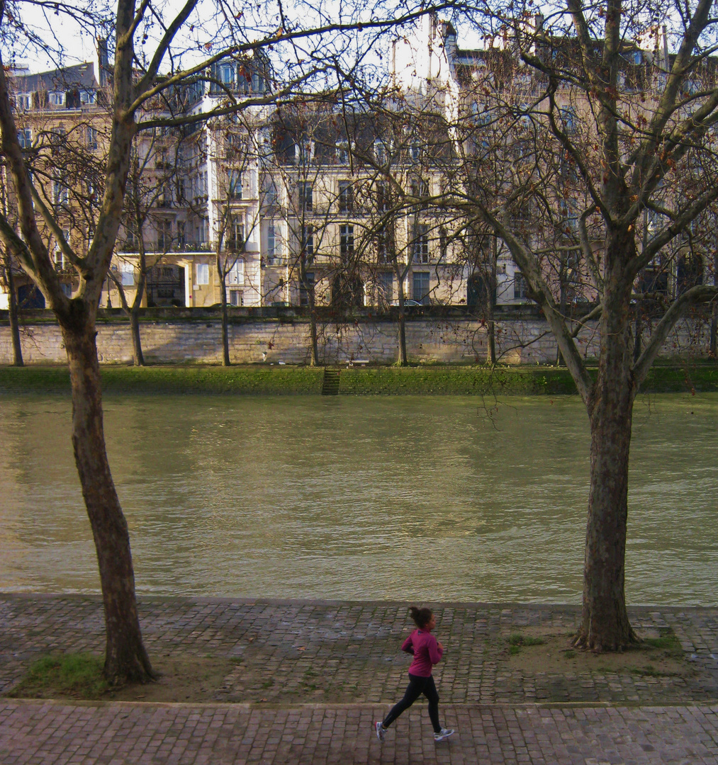 foulée aérienne quai des célestins Paris IV arr