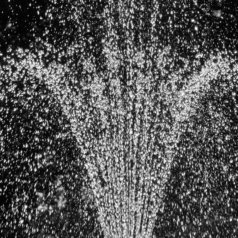 fountain bw