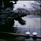 Fountain in Nara