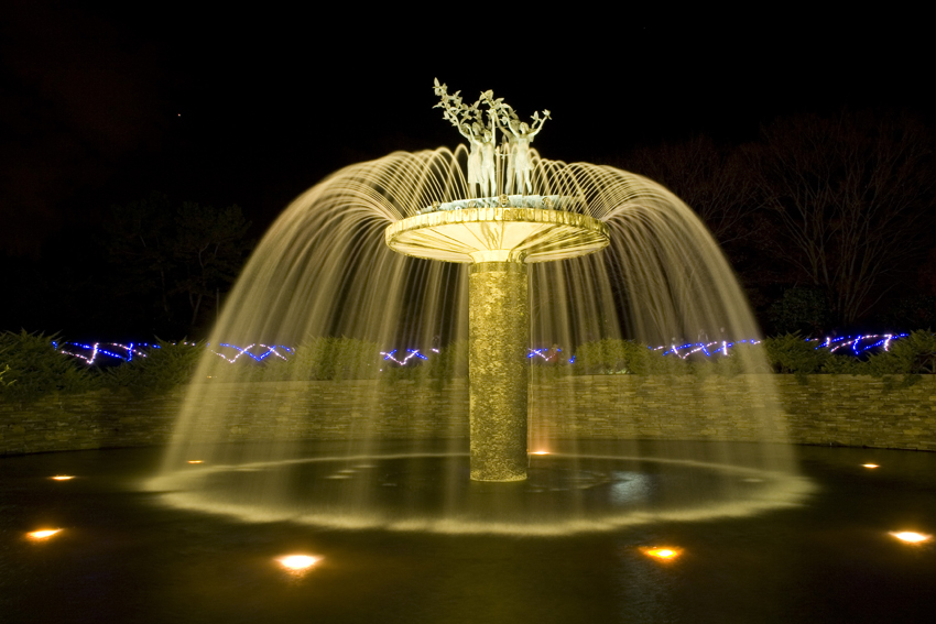 fountain in night