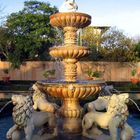 Fountain Lions