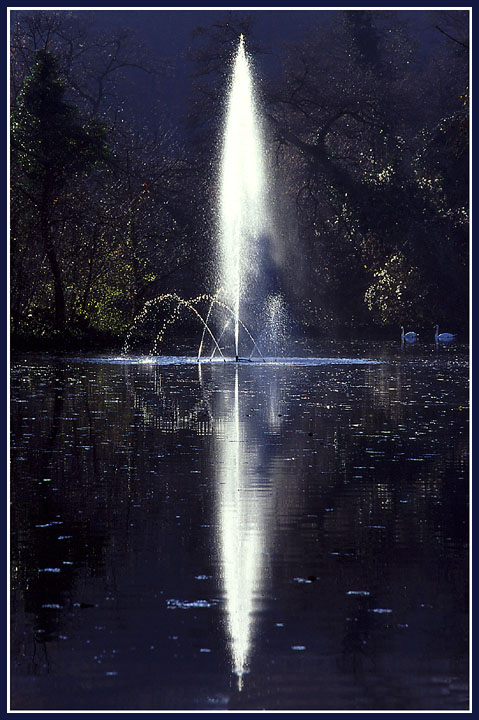 Fountain of Dreams