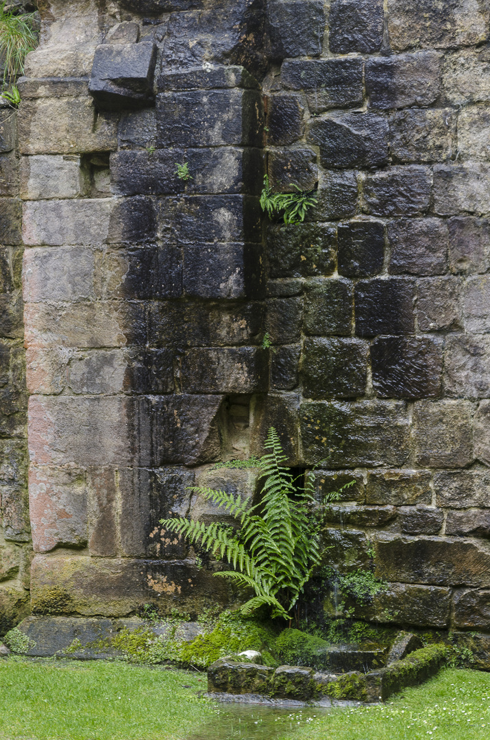 Fountains Abbey