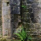 Fountains Abbey