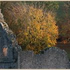 fountains abbey 3