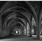 Fountains Abbey