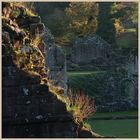 fountains abbey at sunset 18