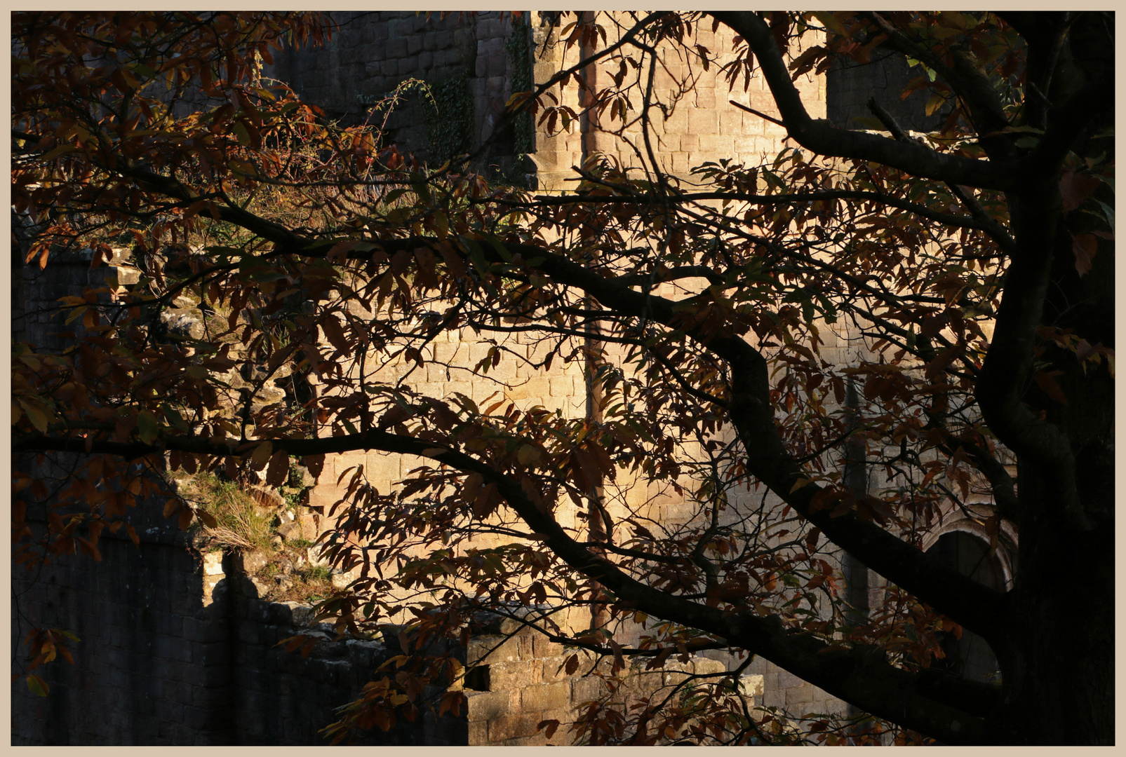 fountains abbey at sunset 2