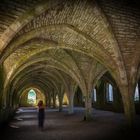 Fountains Abbey Cellarium ghost