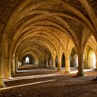 Fountains Abbey Cloisters