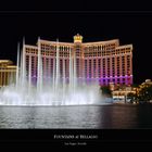 Fountains at Bellagio (4)