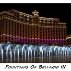 fountains of bellagio III