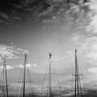 four masts