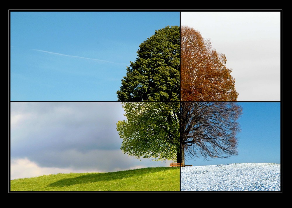 Four Seasons