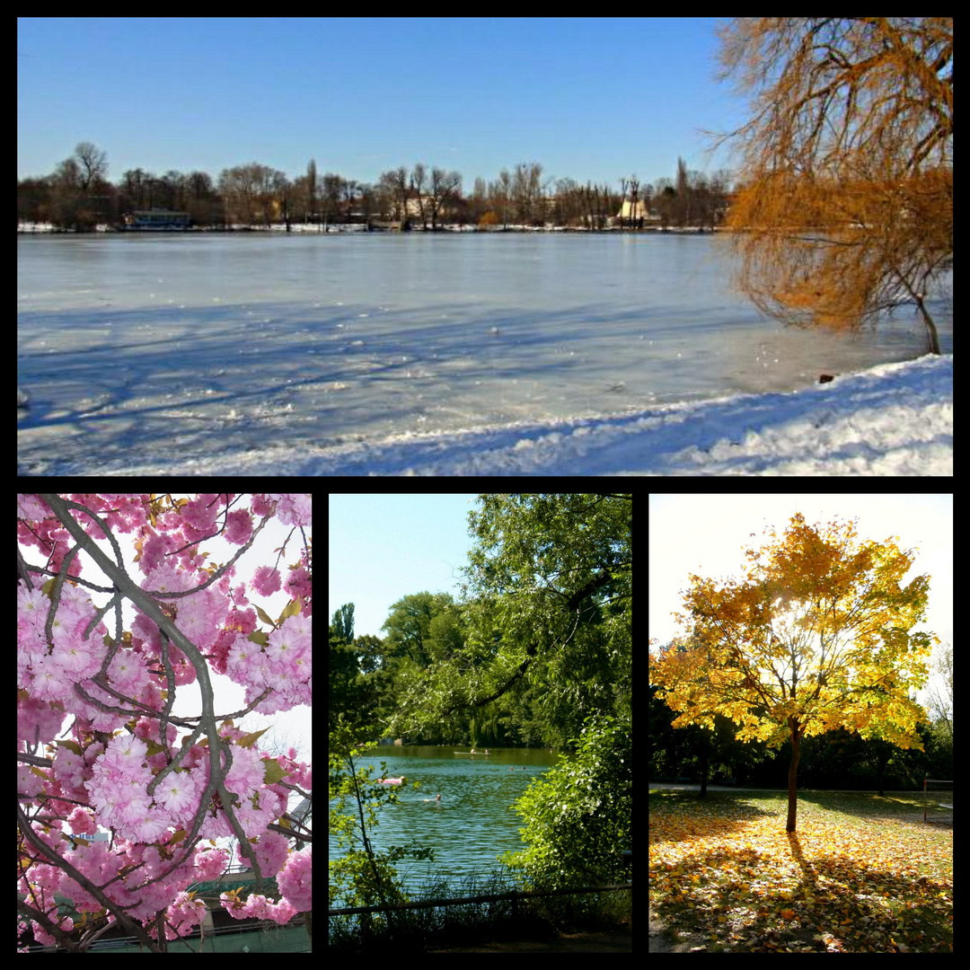 Four Seasons / Das Jahr im Wandel