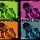 four seasons