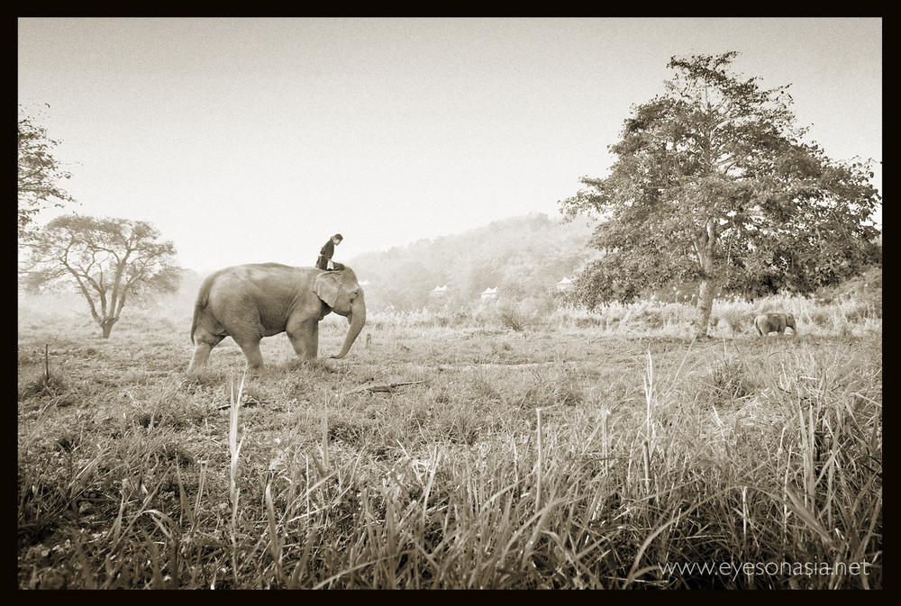 Four Seasons Tented Camp